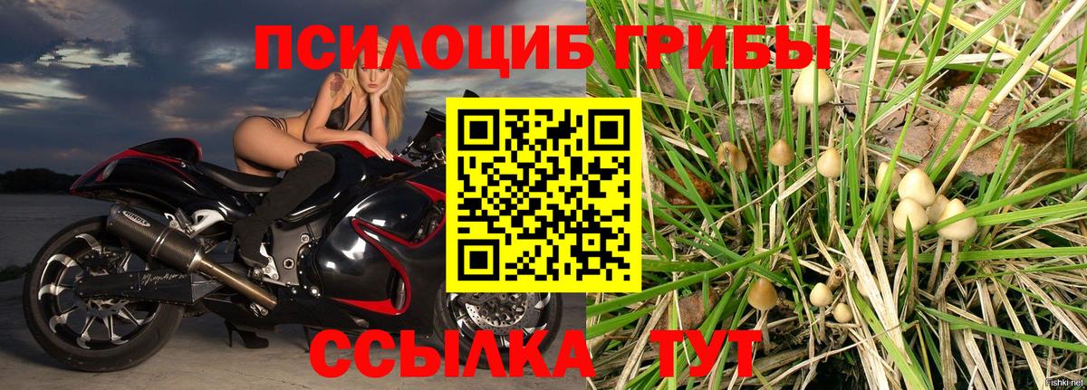 Галлюциногенные грибы мицелий  Вход с VPN  Кисловодск 